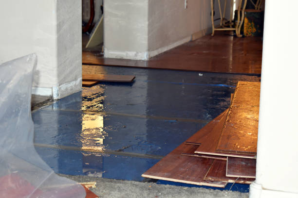 Professional Basement Flood Cleanup technician working in Darien, WI